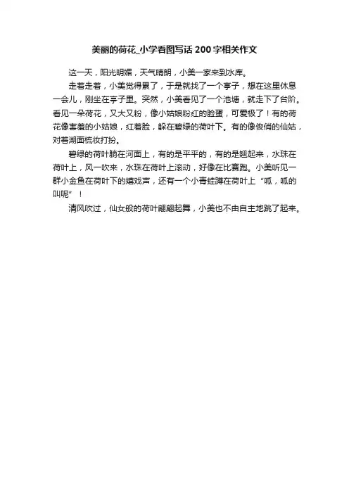 美丽的荷花_小学看图写话200字相关作文