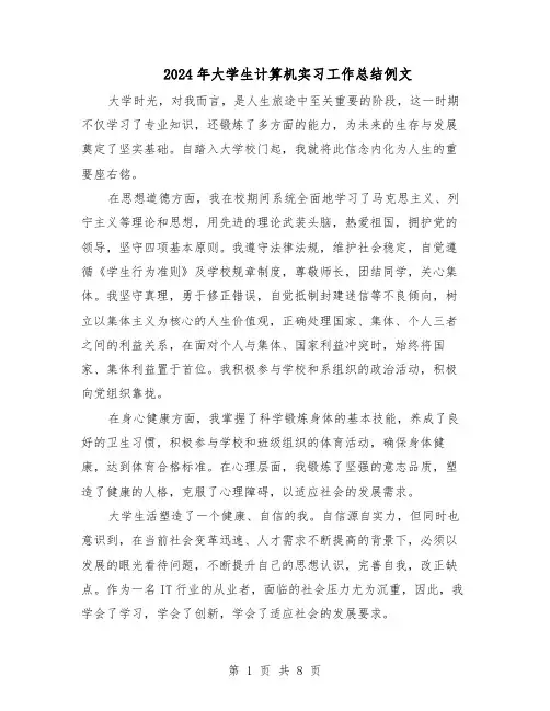 2024年大学生计算机实习工作总结例文(5篇)