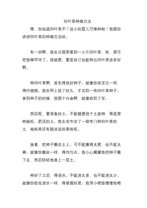 四叶草种植方法
