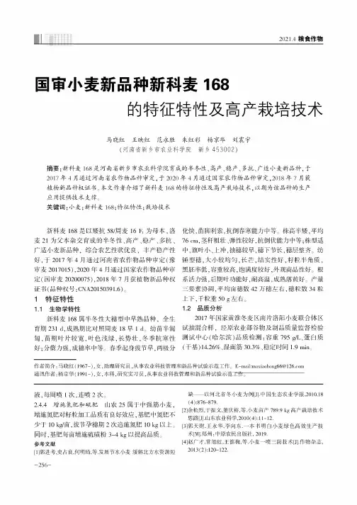 国审小麦新品种新科麦168的特征特性及高产栽培技术