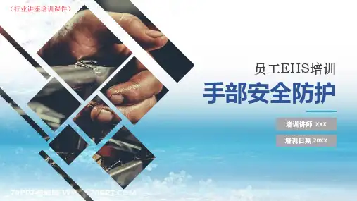 手部安全防护(行业讲座培训课件)