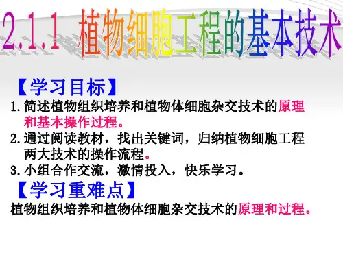 2.1.1植物细胞工程的基本技术