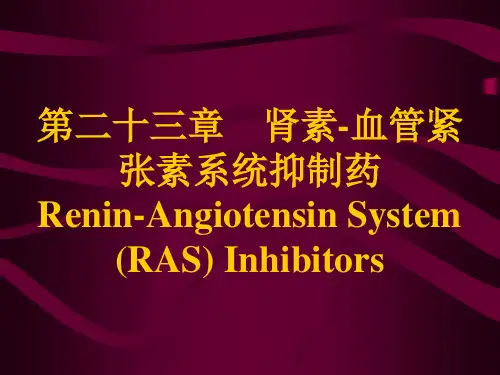 第二十三章 肾素-血管紧张素系统药物