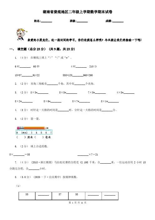 湖南省娄底地区二年级上学期数学期末试卷