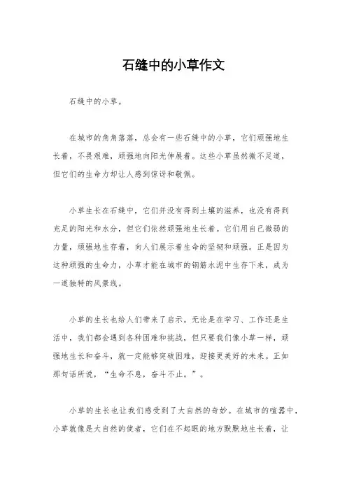 石缝中的小草作文