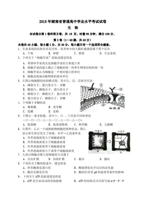 精选范文湖南省普通高中学业水平考试生物试卷Word文档