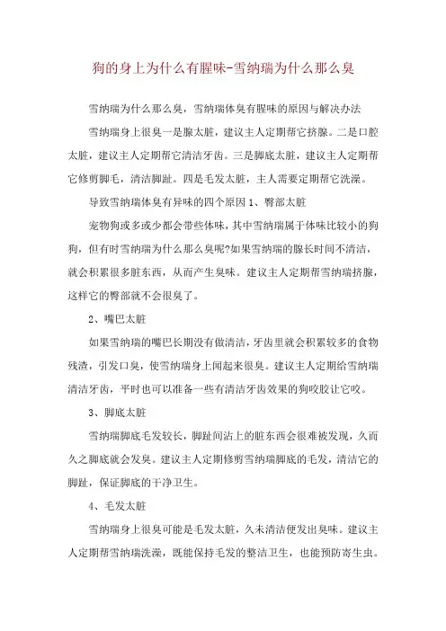 狗的身上为什么有腥味-雪纳瑞为什么那么臭