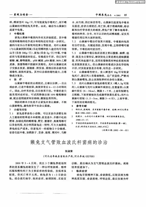 獭兔支气管败血波氏杆菌病的诊治