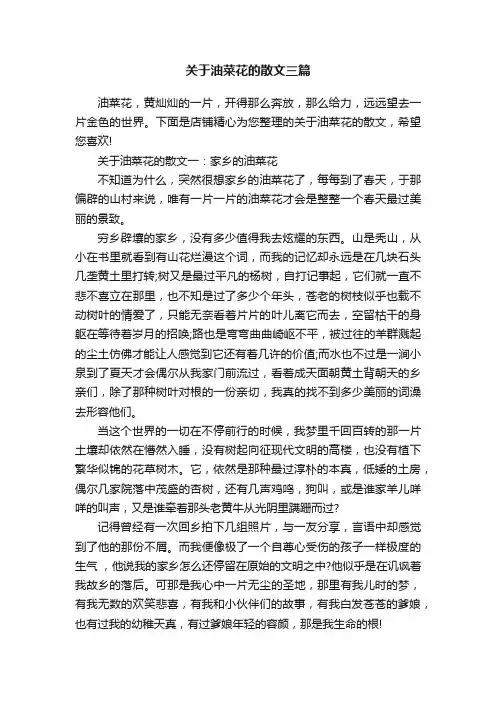 关于油菜花的散文三篇