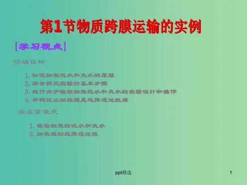 高中生物 第4章  第1节 物质跨膜运输的实例课件 新人教版必修1