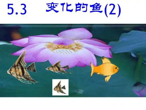 数学：北师大版八年级上5.3《变化的鱼》课件