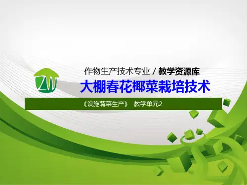 设施蔬菜生产花椰菜设施栽培技术1