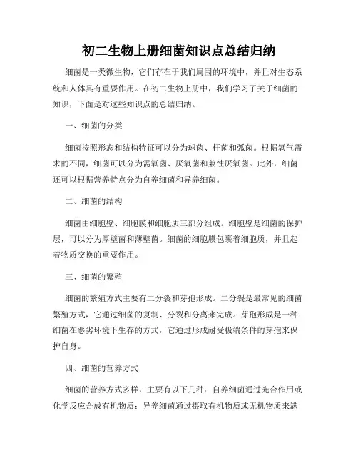 初二生物上册细菌知识点总结归纳