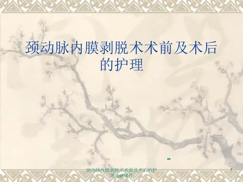 颈动脉内膜剥脱术术前及术后的护理 ppt课件