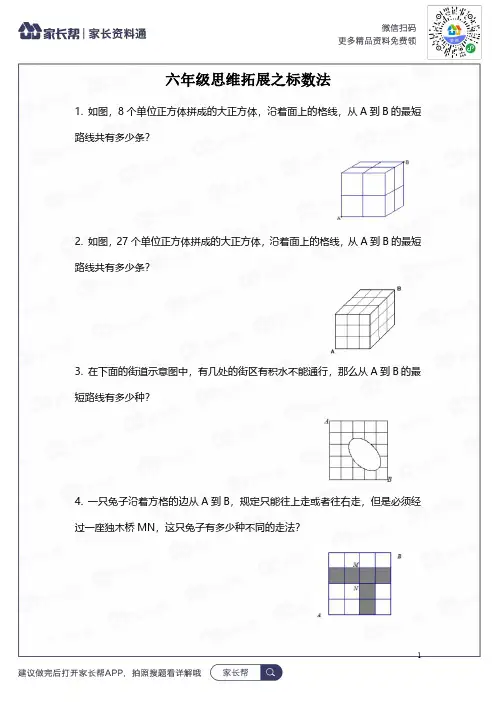 思维拓展数学六年级思维拓展之标数法附答案.pdf