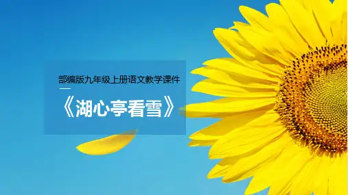 《湖心亭看雪》PPT优质教学课件