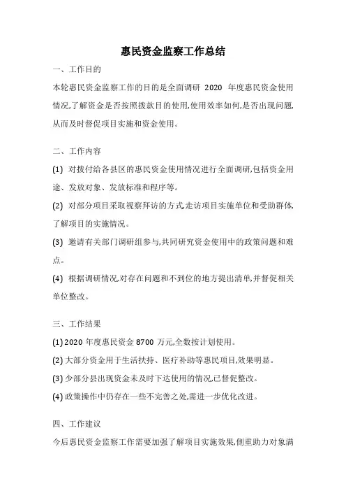 惠民资金监察工作总结