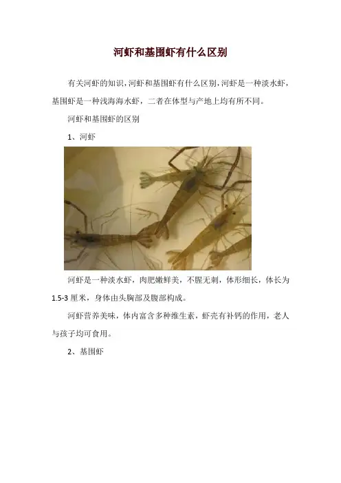 河虾和基围虾有什么区别
