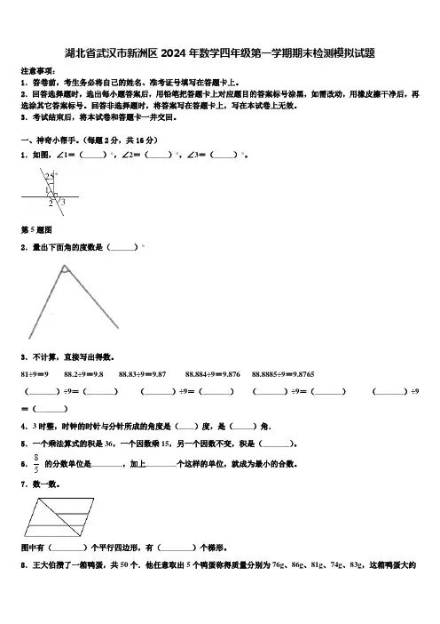 湖北省武汉市新洲区2024年数学四年级第一学期期末检测模拟试题含解析