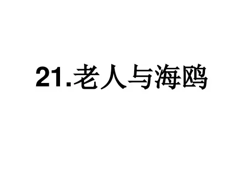 部编六年级上人教《21 老人与海鸥》廖佳玲PPT课件 一等奖新名师优质课获奖比赛公开免费下载