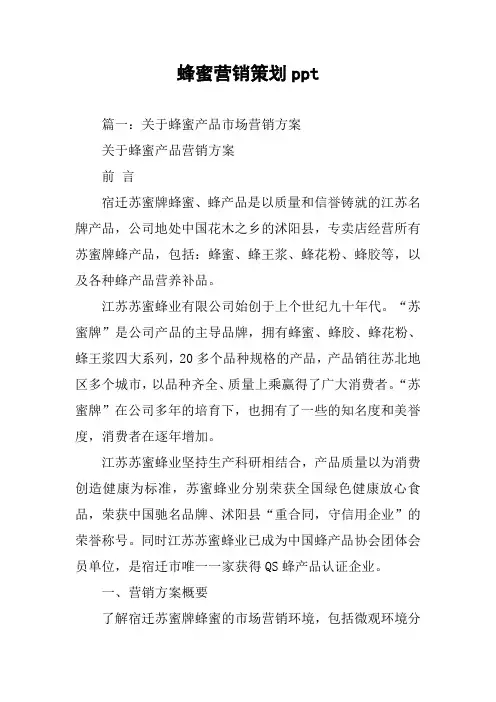 蜂蜜营销策划ppt