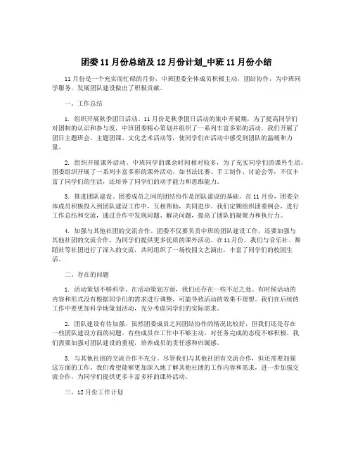 团委11月份总结及12月份计划_中班11月份小结