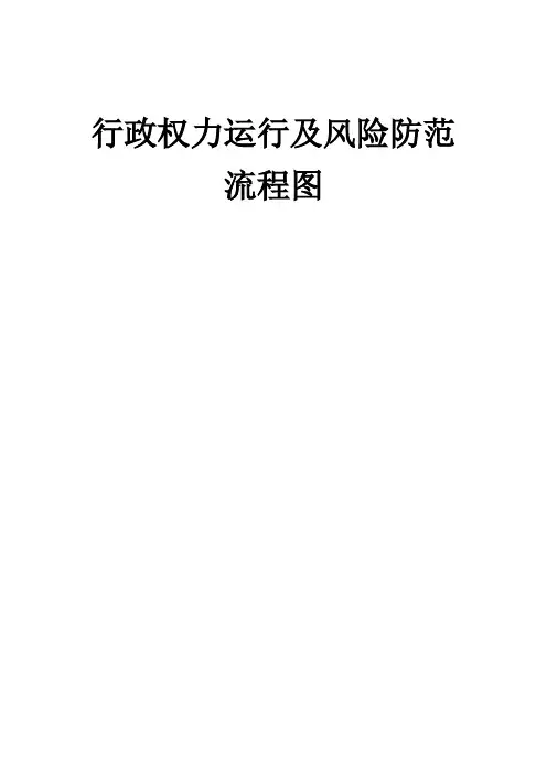 行政权力运行及风险防范流程图-县级政府职权流程图