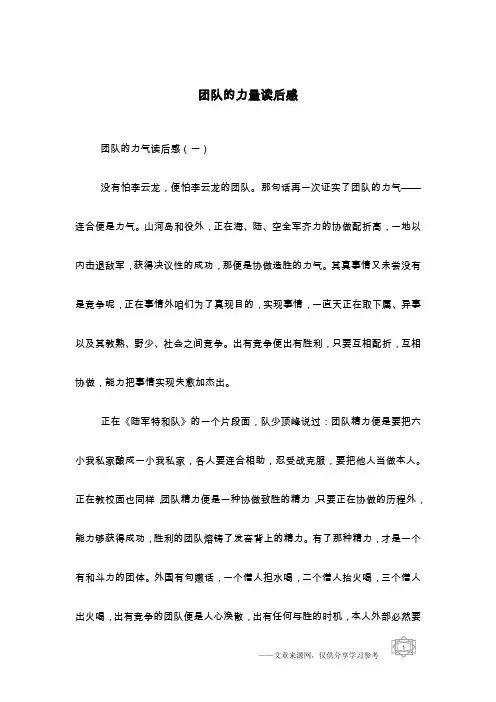 团队的力量读后感