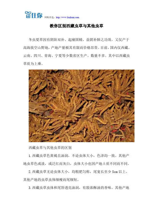 教你区别西藏虫草与其他虫草
