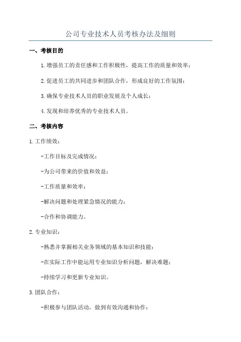 公司专业技术人员考核办法及细则