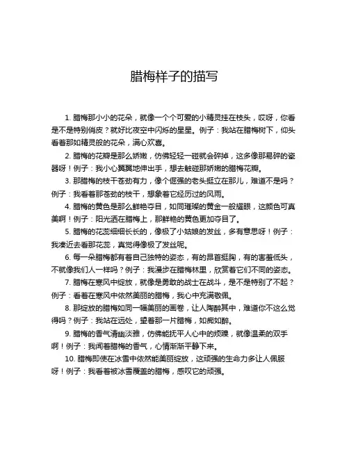 腊梅样子的描写