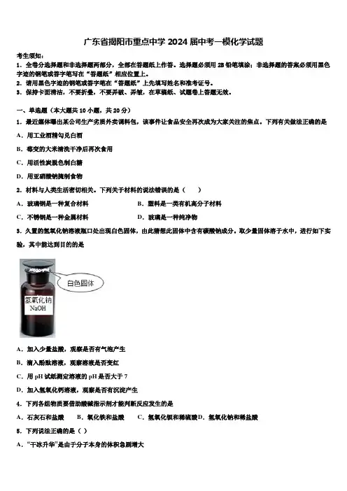 广东省揭阳市重点中学2024届中考一模化学试题含解析