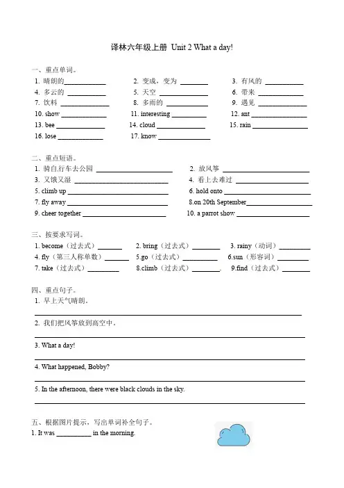 译林英语六年级上册第二单元练习试卷(word版,含答案)