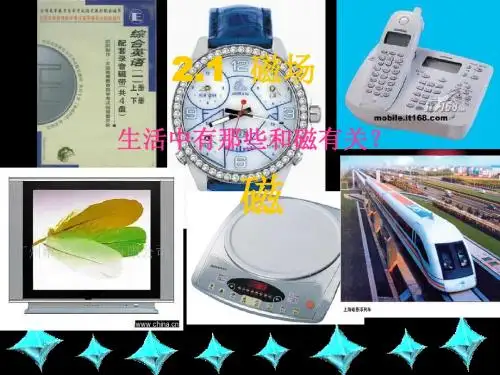磁场PPT课件8 人教版