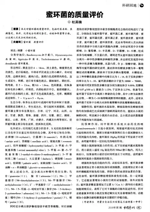 蜜环菌的质量评价