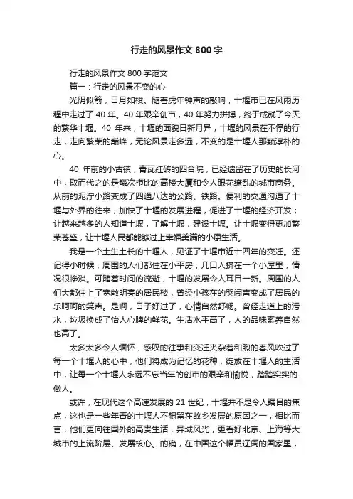 行走的风景作文800字范文