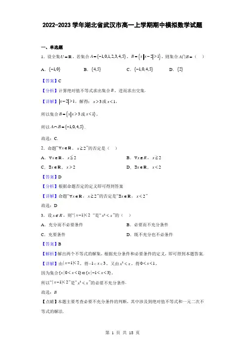 2022-2023学年湖北省武汉市高一上学期期中模拟数学试题(解析版)