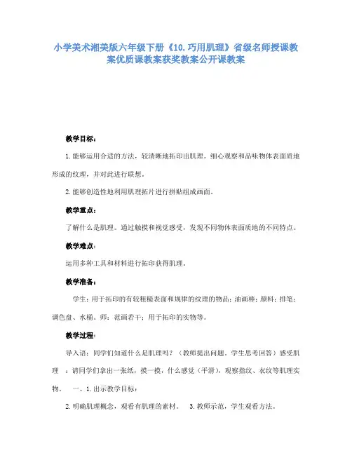小学美术湘美版六年级下册10.巧用肌理省级名师授课教案优质课教案获奖教案公开课教案1