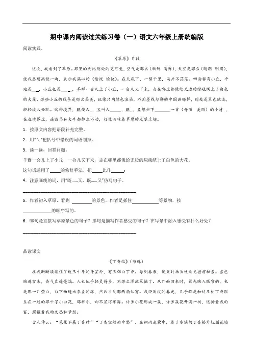 期中课内阅读过关练习卷(试题)统编版语文六年级上册