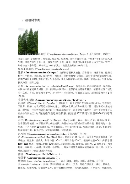 湿地植物