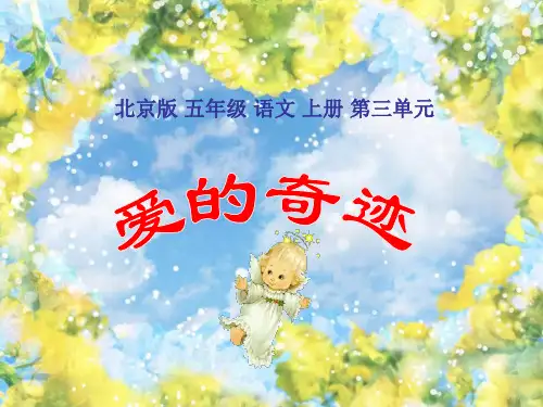 五年级语文爱的奇迹1(中学课件201910)