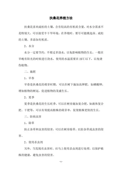 扶桑花养殖方法