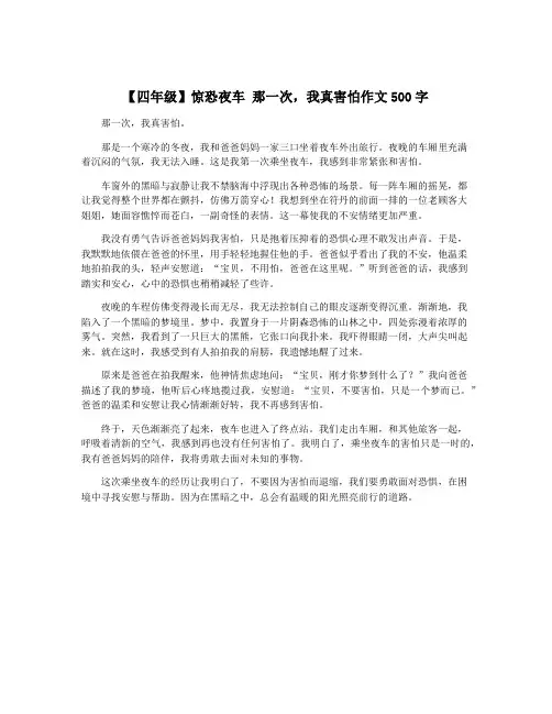 【四年级】惊恐夜车 那一次,我真害怕作文500字