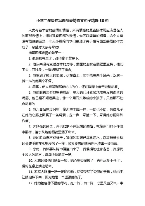 小学二年级描写面部表情作文句子精选80句