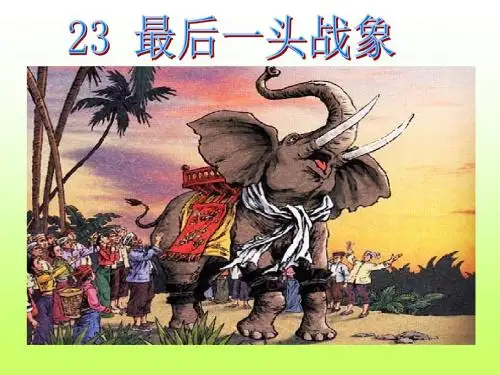 最后一头战象优秀ppt