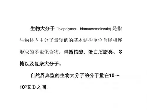 第二章 生物大分子