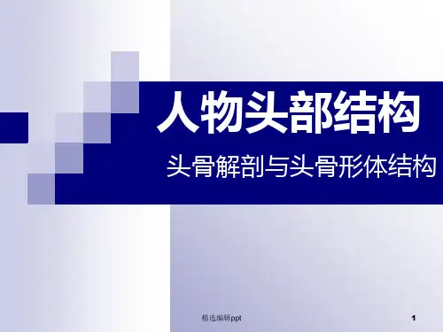 头骨结构ppt课件