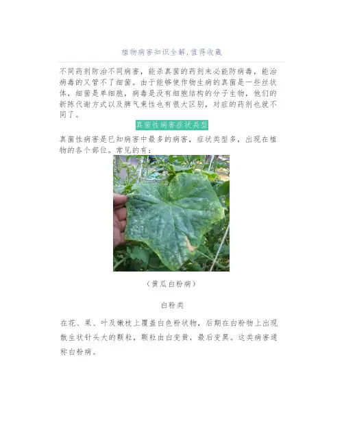植物病害知识全解,值得收藏