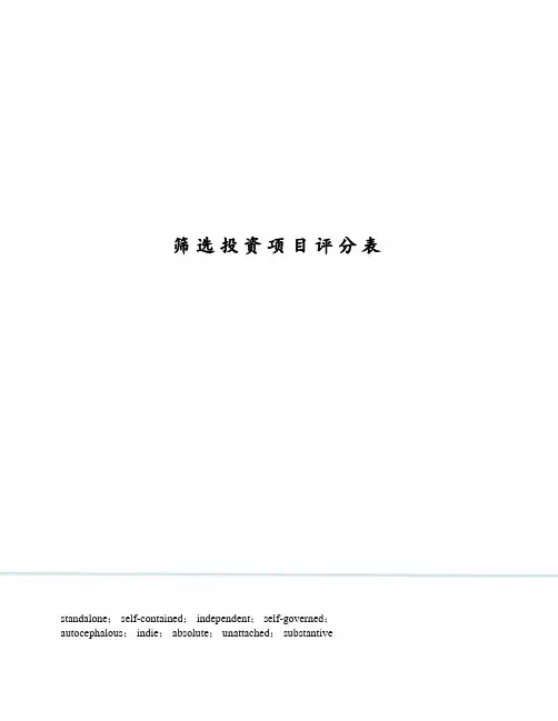 筛选投资项目评分表