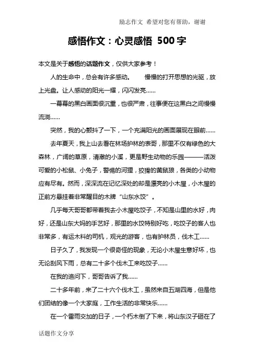 感悟作文：心灵感悟 500字